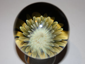 
                  
                    Magisches Blumenuniversum - [seilsandalen.at]
                  
                